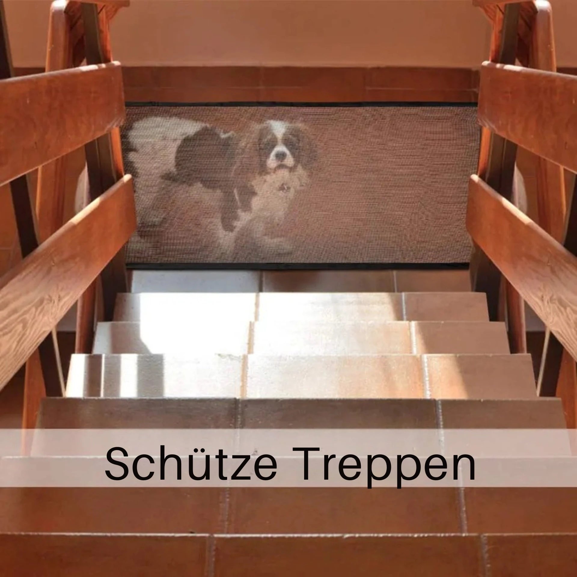 Hunde Tor Genialer Hund Zaun Für Indoor und Outdoor Sicher