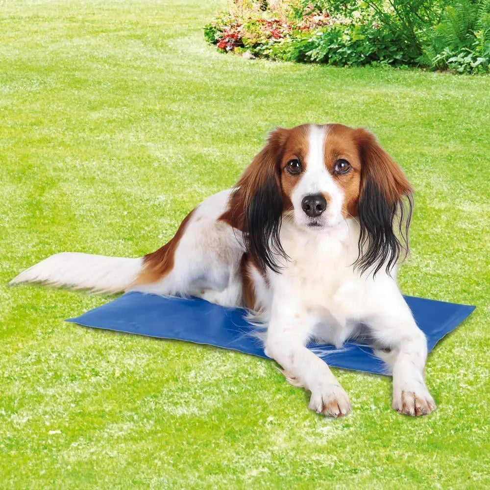 Trixie 28685 Kühlmatte, 50 × 40 cm, blau