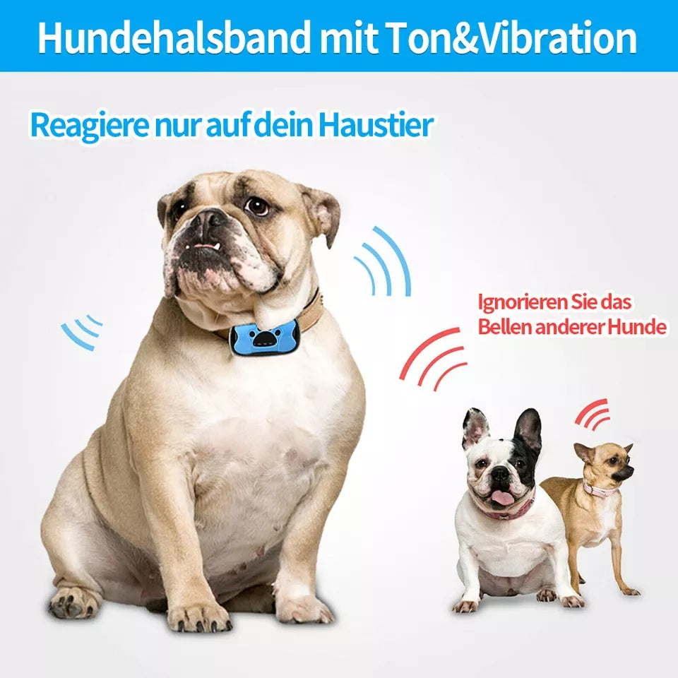 Anti-Bell-Hundehalsband – Sanfte Erziehung mit Ton & Vibration
