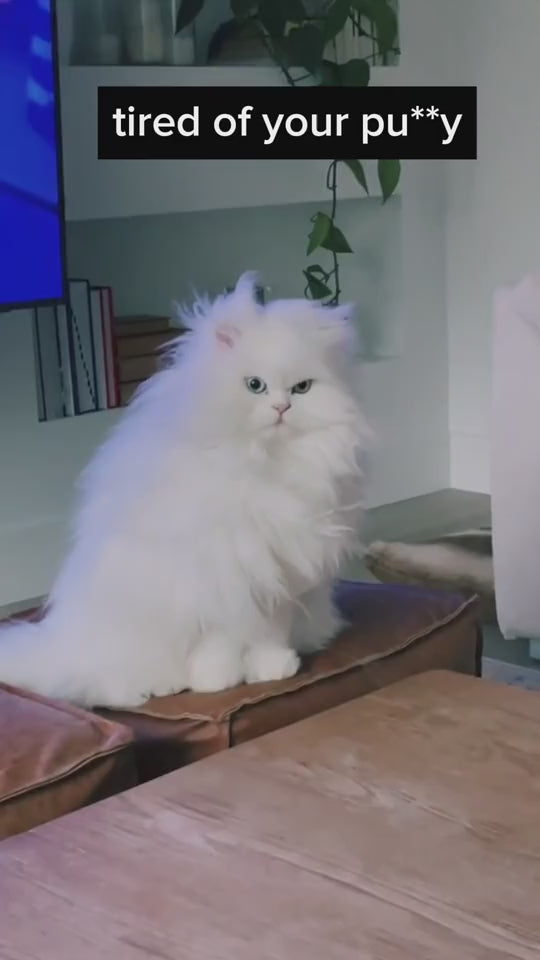 Tierhaarentferner Fusselrolle, Fusselrolle Für Hundehaare Und Katzenhaare Wiederverwendbar, Fusselbürste Für Tierhaar, Für Sofa, Bett, Teppich, Kratzbaum, Weiß